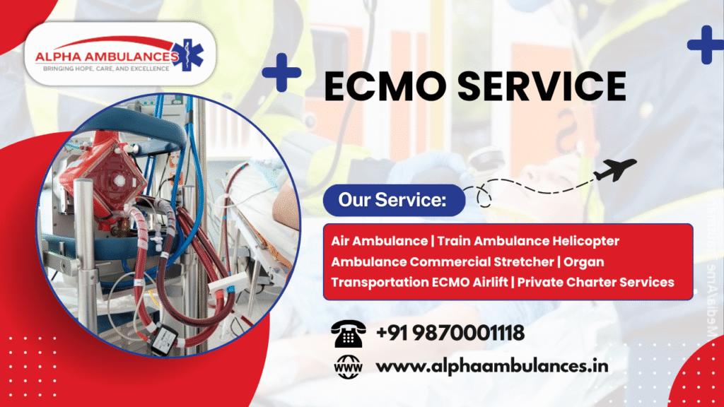 ECMO Service